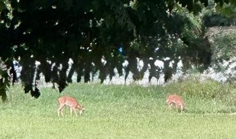 7120 N 127 Highway Lot Hwy, Albany, KY 42602