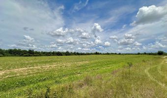 0 Antioch Church Rd, Ashford, AL 36312