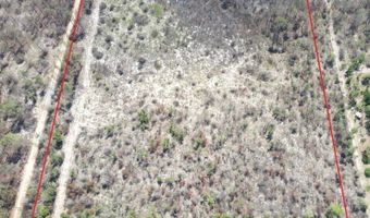 NW Isoletta Rd, Altha, FL 32421