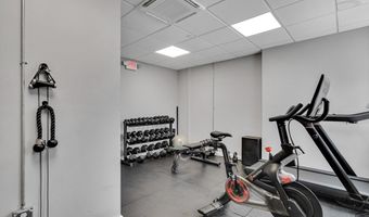 10 Everett 304, Boston, MA 02128