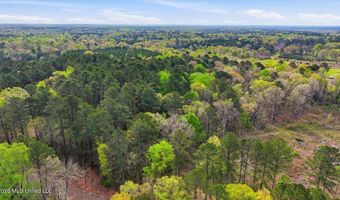 Harrisville Braxton Road, Braxton, MS 39044