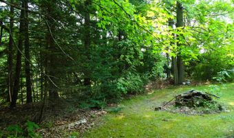 2528 Gardner, Alger, MI 48610