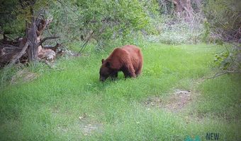 888 Las Palomas Canyon Rd, Caballo, NM 87942