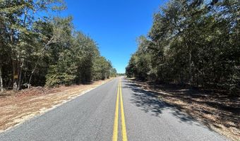 20 Ac Coot Adams Rd, Ashford, AL 36312