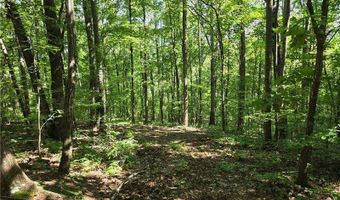 0 Lawson Federal, Ball Ground, GA 30107