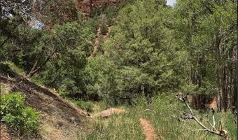 1200 Frying Pan Rd, Basalt, CO 81621