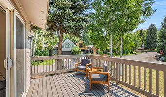 1275 Snowbunny Lane 2, Aspen, CO 81611