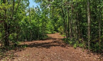 4814 NW 244 Ave, Alachua, FL 32615
