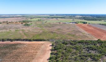 TBD Lot 31 County Road 497, Anson, TX 79501