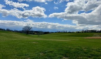 1600 Mary Lamons Rd, Afton, TN 37616