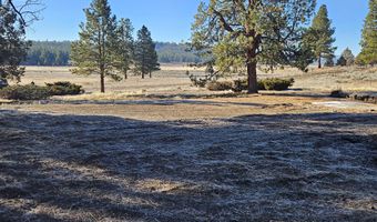 31747 Godowa Springs Rd, Beatty, OR 97621