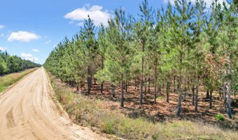 Tract 1 Sanderling, Alma, GA 31510