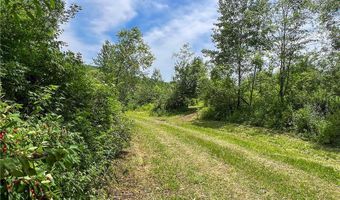 0 Woodland Hills Rd, Andes, NY 13731