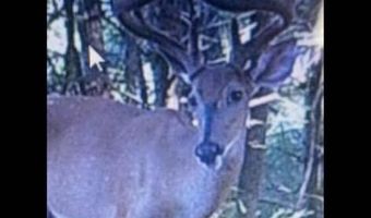 LEE HIGHWAY, Amissville, VA 20106