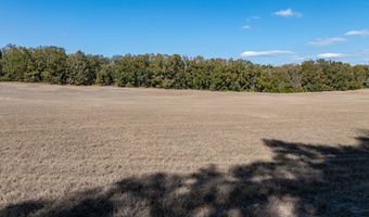 County Road 236 lot 2, Bell, FL 32619