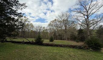 0 Chestnut Ridge Rd, Andersonville, TN 37705