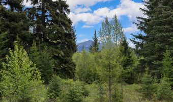 22585 Fatty Creek Rd, Bigfork, MT 59911