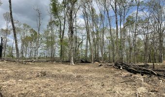 State Hwy N Tract G, Ava, MO 65608