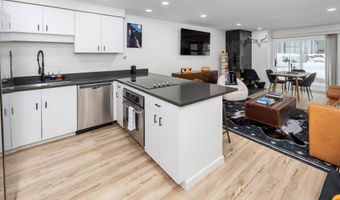 100 E DEAN St 1D, Aspen, CO 81611