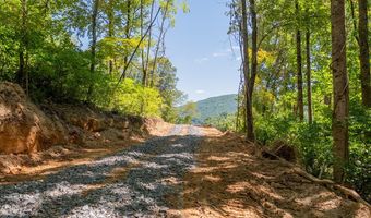 Lot 20 Clear Fork Creek Road, Bastian, VA 24314