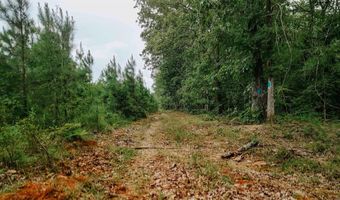 Copeland Ridge Road, Arkadelphia, AR 71923