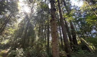 Laurel Rd 2000, Bandon, OR 97411
