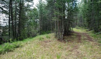 Nhn US Hwy 93, Big Arm, MT 59910