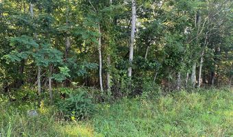 Lot 2B Gidsville Road, Amherst, VA 24521