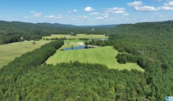 6150 SHOAL CREEK Rd 124+/- Acres, Ashville, AL 35953