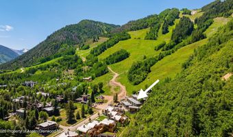 809 S Aspen St 8, Aspen, CO 81611