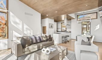 522 Spruce St, Aspen, CO 81611