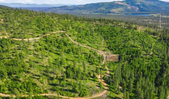 NNA Stone Rd Lot 5 20.0 Acres, Blanchard, ID 83804