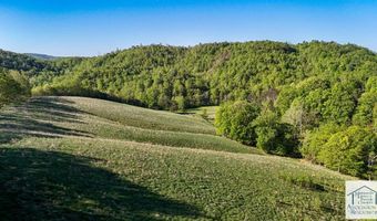 1619 Squirrel Creek Rd, Ararat, VA 24053