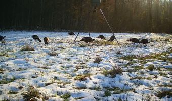 217 281, Banner, MS 38913