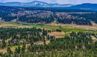 19 E Pine Dr, Bailey, CO 80421