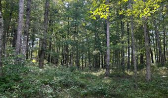 LOT 1 WINDING CREEK LANE Ln, Arley, AL 35541