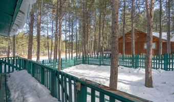 40 Via Del Rey, Angel Fire, NM 87710