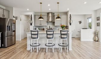 900 Treeline Dr, Algonquin, IL 60102