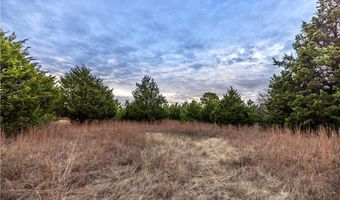 Tract 3 Acme RD, Asher, OK 74826