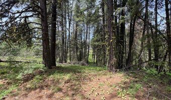 Tbd Hilltop Road 43 & 44, Cascade, ID 83611