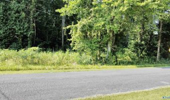 2 93 Acres Highway 231, Arab, AL 35016
