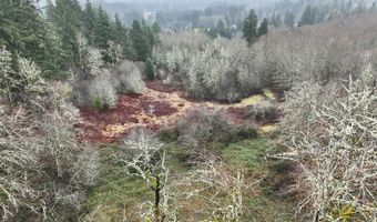 NE 197th Ct, Amboy, WA 98601