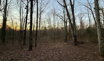 Tall Pines Road, Ashland, MS 38603