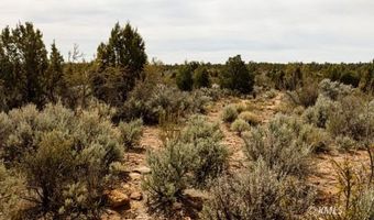 Parcel AV-1371-F, Apple Valley, UT 84737