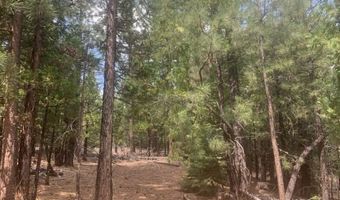 Fargo Rd, Alturas, CA 96101