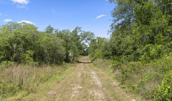 21835 Lake Mckenzie Blvd, Altha, FL 32421