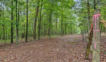 12706 Cranfield Rd, Birchwood, TN 37308