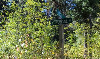 1204 Porcupine Rd, Cascade, ID 83611