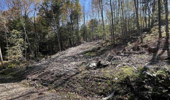 Map 227 Lot 010 Underwood Road, Acworth, NH 03601
