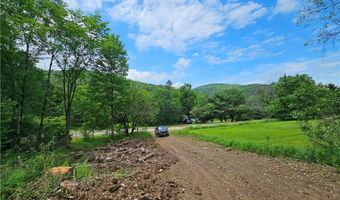 738 Four Mile Rd, Allegany, NY 14706